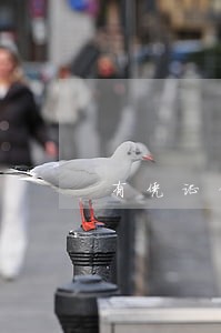 有凭证借条高利贷逾期 有凭证借条高利贷逾期