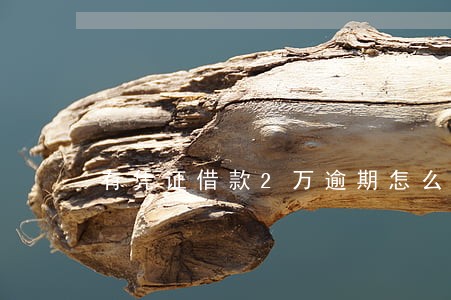 有凭证借款2万逾期怎么办