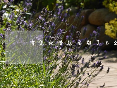 有凭证借款逾期了怎么办 有凭证借款逾期了怎么办