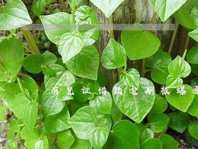 有凭证借款逾期被爆通讯录 有凭证借款逾期被爆通讯录