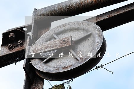 有凭证借款逾期该怎么办呢 有凭证借款逾期该怎么办呢