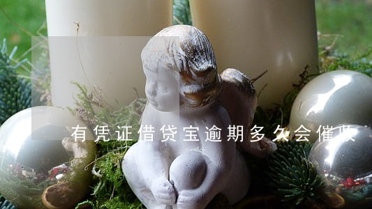 有凭证借贷宝逾期多久会催收 有凭证借贷宝逾期多久会催收