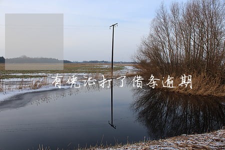 有凭证打了借条逾期 有凭证打了借条逾期
