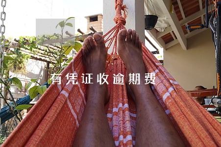 有凭证收逾期费 有凭证收逾期费
