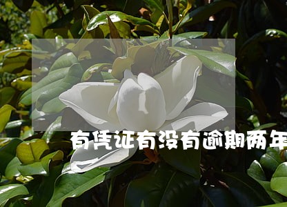 有凭证有没有逾期两年的 有凭证有没有逾期两年的