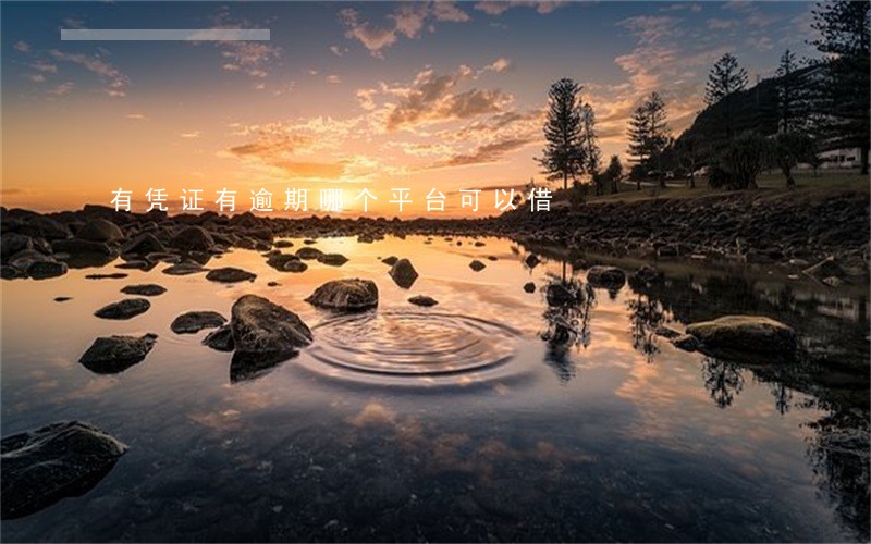 有凭证有逾期哪个平台可以借 有凭证有逾期哪个平台可以借