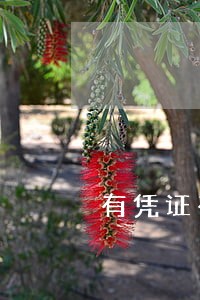 有凭证有逾期继续下款 有凭证有逾期继续下款