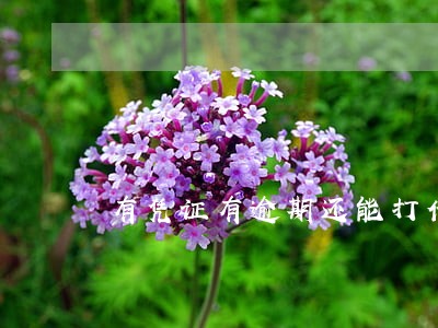 有凭证有逾期还能打借条吗 有凭证有逾期还能打借条吗
