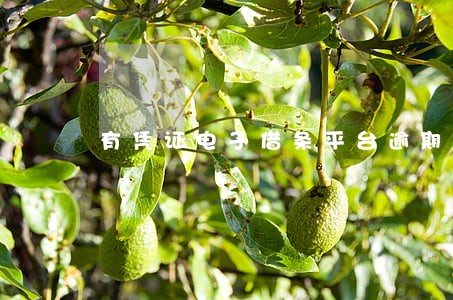 有凭证电子借条平台逾期六万多 有凭证电子借条平台逾期六万多