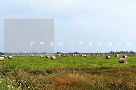 有凭证电子借条逾期打通讯录 有凭证电子借条逾期打通讯录