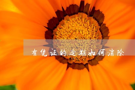 有凭证的逾期如何消除 有凭证的逾期如何消除