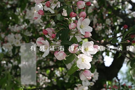 有凭证看得到逾期记录吗 有凭证看得到逾期记录吗
