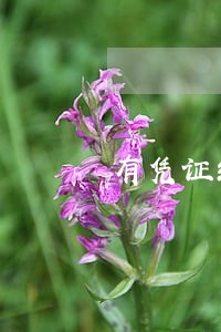 有凭证续期只还本金可以吗 有凭证续期只还本金可以吗