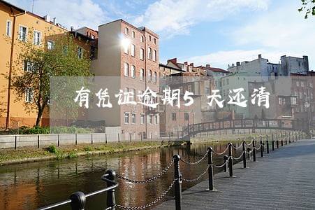 有凭证逾期5天还清 有凭证逾期5天还清