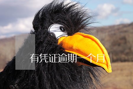 有凭证逾期一个月 有凭证逾期一个月