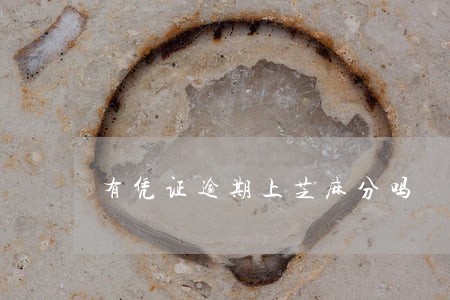 有凭证逾期上芝麻分吗 有凭证逾期上芝麻分吗