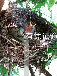 有凭证逾期不还会上征信吗 有凭证逾期不还会上征信吗