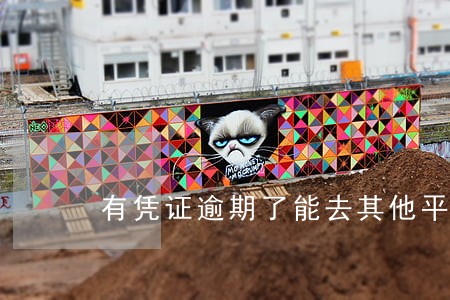 有凭证逾期了能去其他平台借吗 有凭证逾期了能去其他平台借吗