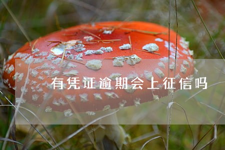 有凭证逾期会上征信吗 有凭证逾期会上征信吗