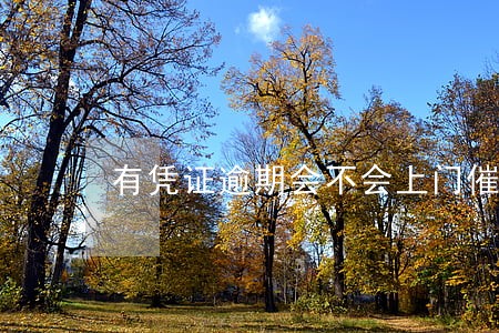 有凭证逾期会不会上门催收