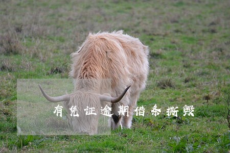 有凭证逾期借条撕毁 有凭证逾期借条撕毁