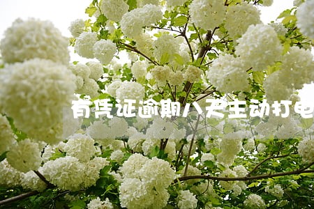 有凭证逾期八天主动打电话不接 有凭证逾期八天主动打电话不接