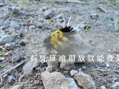 有凭证逾期放款能查到吗 有凭证逾期放款能查到吗