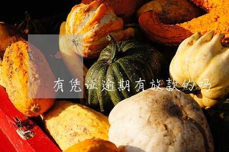 有凭证逾期有放款的吗 有凭证逾期有放款的吗