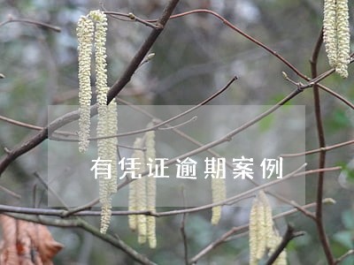 有凭证逾期案例