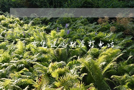 有凭证逾期没打电话 有凭证逾期没打电话
