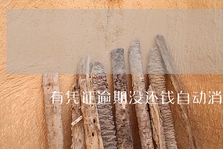 有凭证逾期没还钱自动消条了 有凭证逾期没还钱自动消条了