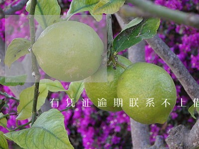 有凭证逾期联系不上借款人