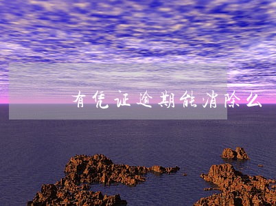 有凭证逾期能消除么 有凭证逾期能消除么