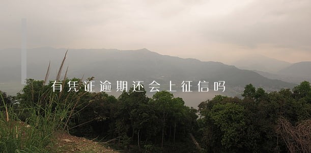 有凭证逾期还会上征信吗 有凭证逾期还会上征信吗
