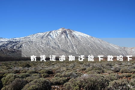 有凭证逾期还能下款吗下款的 有凭证逾期还能下款吗下款的
