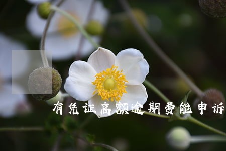 有凭证高额逾期费能申诉不 有凭证高额逾期费能申诉不