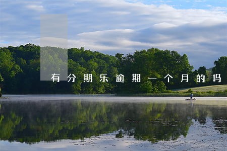 有分期乐逾期一个月的吗 有分期乐逾期一个月的吗
