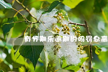 有分期乐逾期的吗罚息高吗 有分期乐逾期的吗罚息高吗