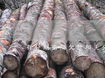 有分期逾期欠款和无分歧 有分期逾期欠款和无分歧