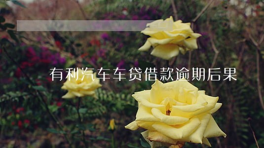 有利汽车车贷借款逾期后果 有利汽车车贷借款逾期后果