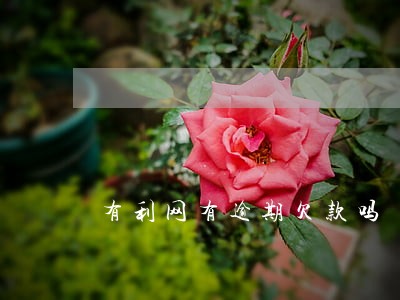 有利网有逾期欠款吗 有利网有逾期欠款吗