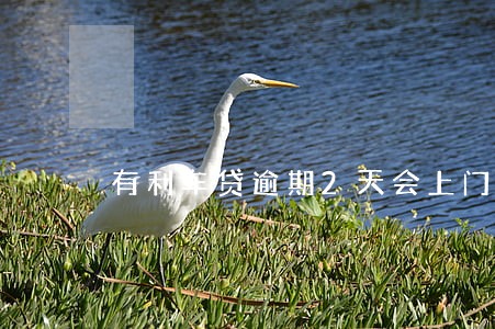 有利车贷逾期2天会上门吗 有利车贷逾期2天会上门吗