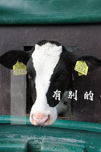 有别的小贷逾期会影响其他吗 有别的小贷逾期会影响其他吗