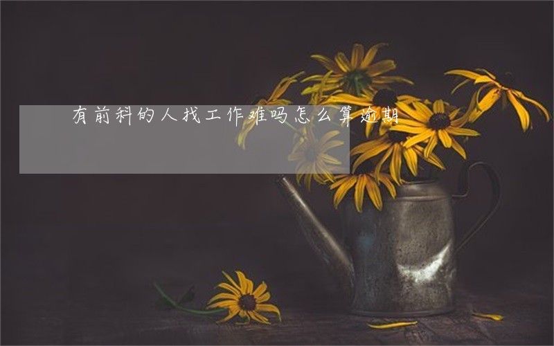 有前科的人找工作难吗怎么算逾期 有前科的人找工作难吗怎么算逾期