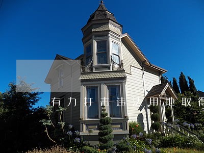 有力打击违法用地取得的成绩 有力打击违法用地取得的成绩