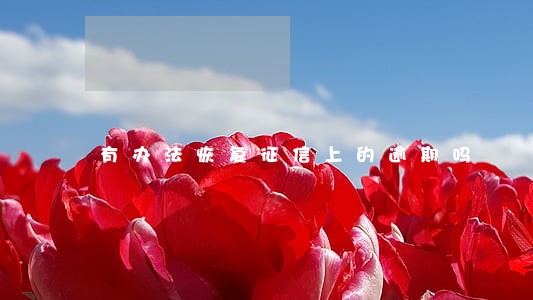 有办法恢复征信上的逾期吗 有办法恢复征信上的逾期吗