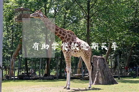 有助学贷款逾期买车 有助学贷款逾期买车