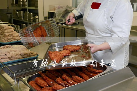 有助学贷款逾期未还 有助学贷款逾期未还