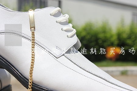 有助学贷款逾期能买房吗 有助学贷款逾期能买房吗