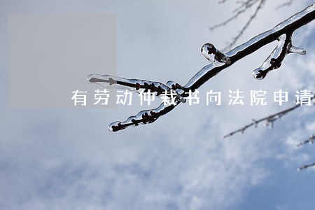 有劳动仲裁书向法院申请强制执行 有劳动仲裁书向法院申请强制执行